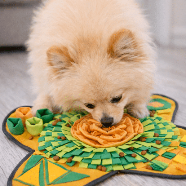 Tapis de fouille vert et orange losange chien