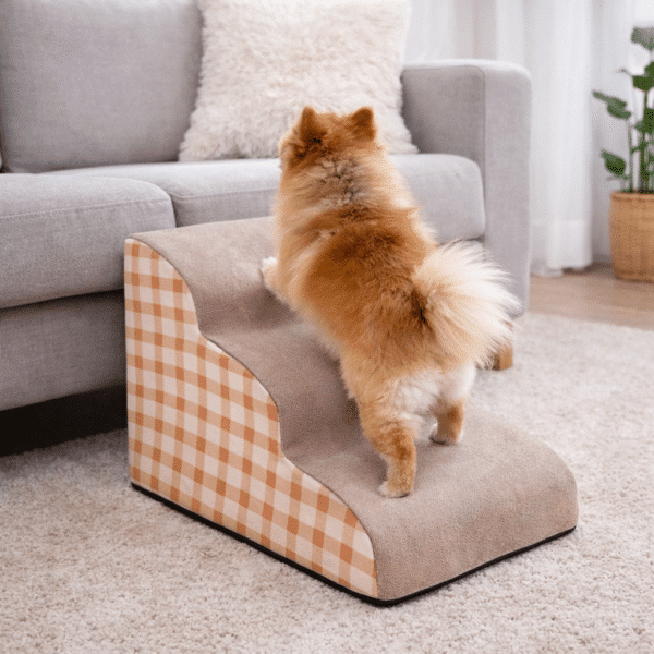 Rampe d'escalier pour chien