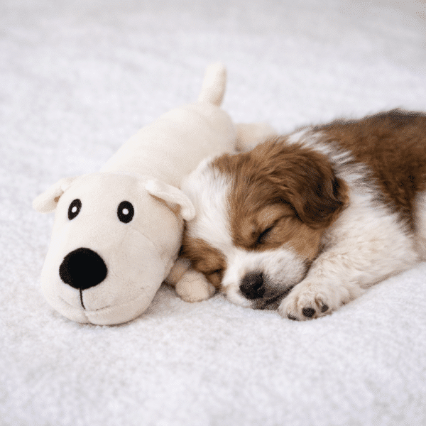 Jouets à mâcher en peluche chien blanc