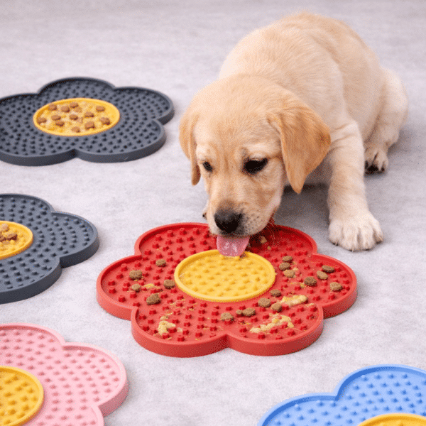 Tapis de léchage fleur pour chien