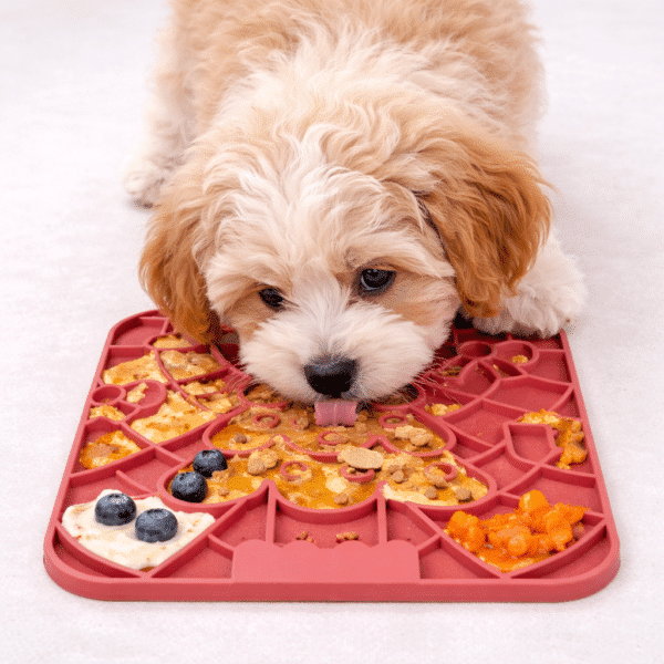 Tapis de léchage forme sapin rose pour chien