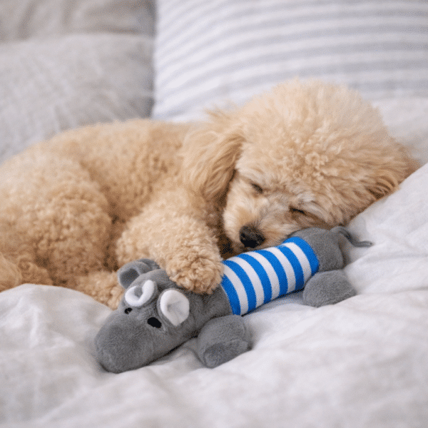 Jouets à mâcher en peluche éléphant gris et bleu