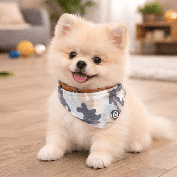Collier bandana bleu et beige chien