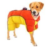 0f17d960-ef53-4269-91bc-900f850f8d33