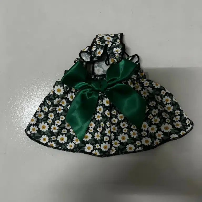 Robe marguerite verte chihuahua 2