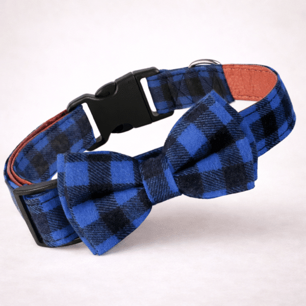 Collier noeud papillon bleu et noir chien