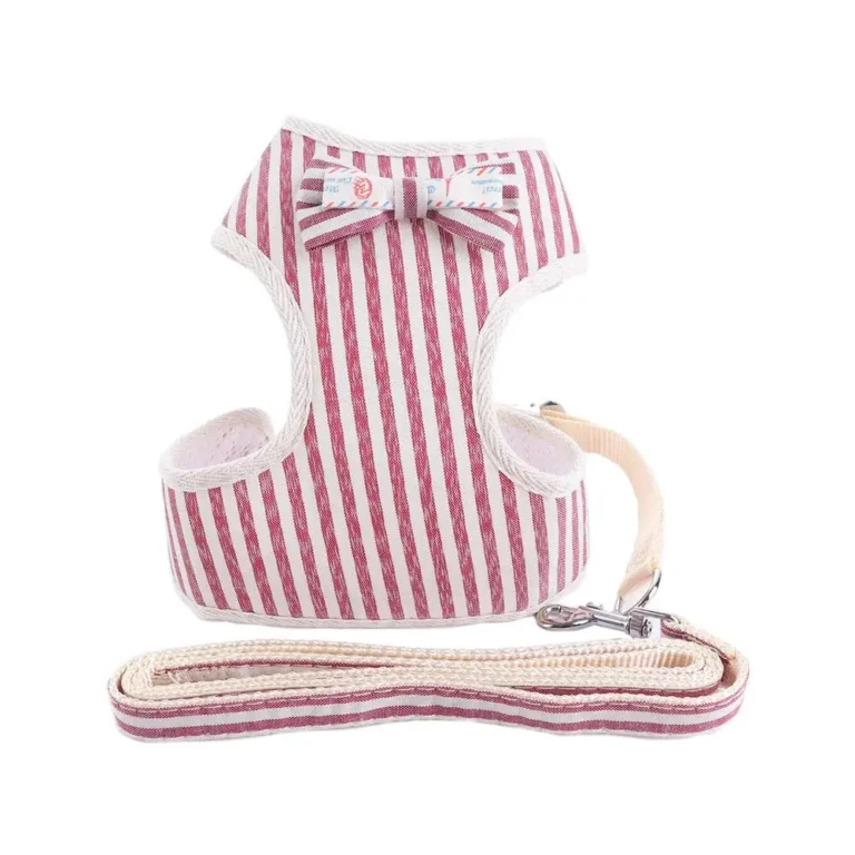 Ensemble harnais et laisse à pois rose petit chien 2