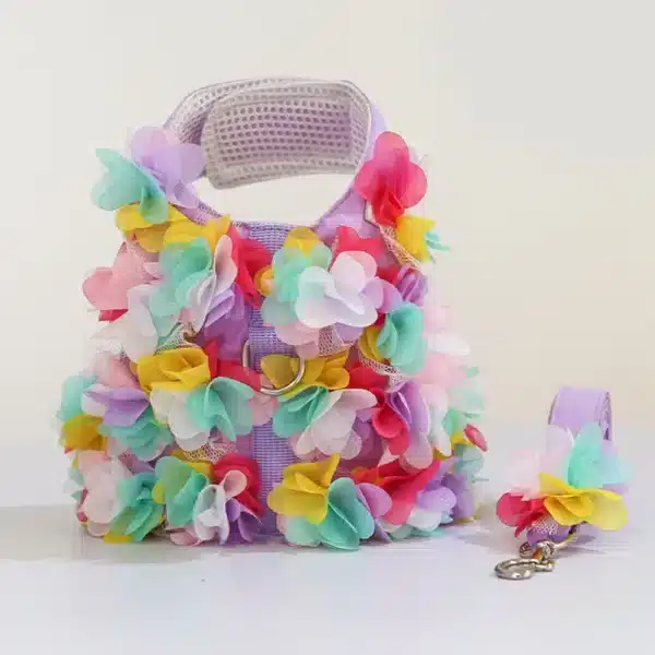 Harnais spitz fleur coloré + laisse 6