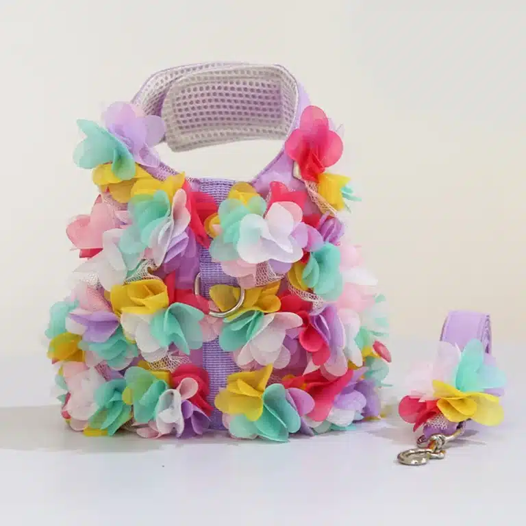 Harnais spitz fleur coloré + laisse 6