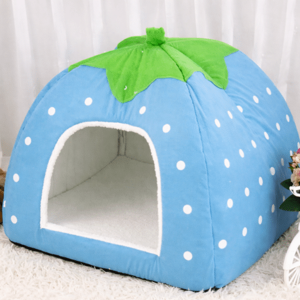 Niche fraise bleu petit chien