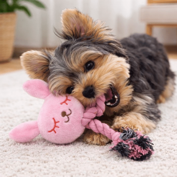 Peluche lapin rose pour chien destructeur