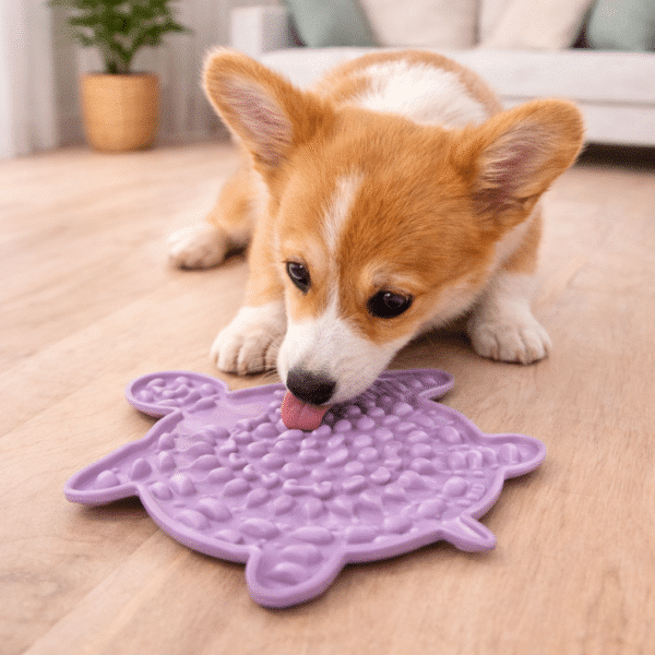 Tapis de léchage en forme de tortue pour chien