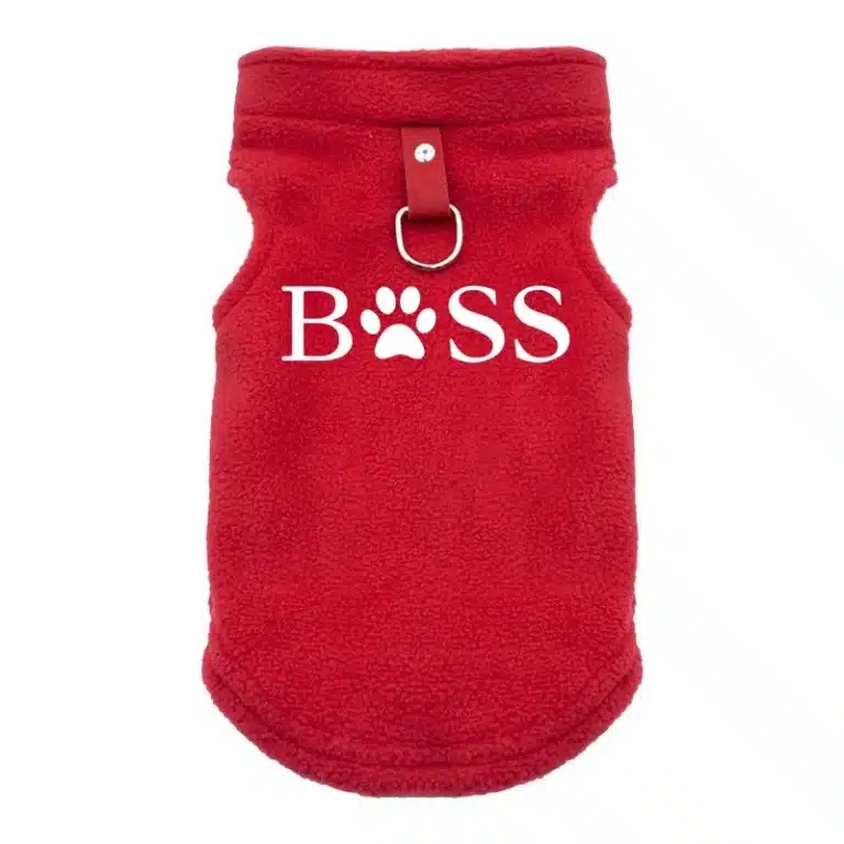 Pull boss chihuahua 3