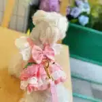 Harnais chihuahua robe dentelle motif fraise + laisse 3