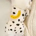 Pull chihuahua beige banane 5