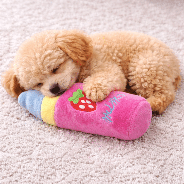 Peluche biberon fraise pour chien