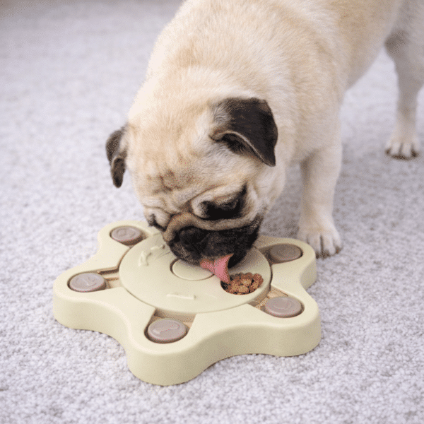 Distributeur croquette étoile vert pour petit chien
