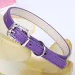 Collier en cuir chihuahua 4