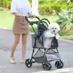 Poussette pour petit chien 2