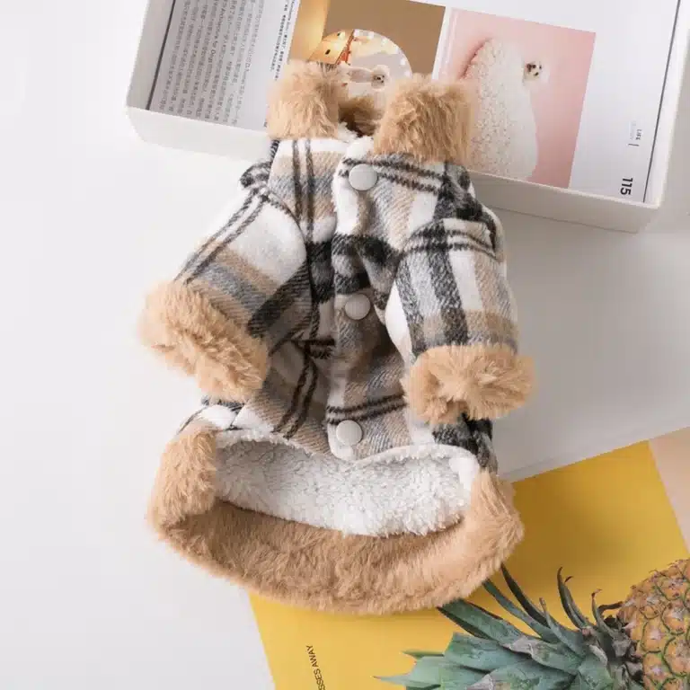 Pull à carreaux pilou petit chien 2