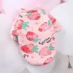 Pull spitz fraise rose 6