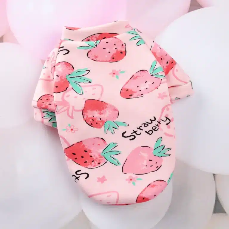 Pull spitz fraise rose 6