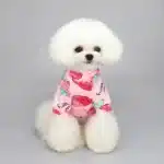 Pull spitz fraise rose 3