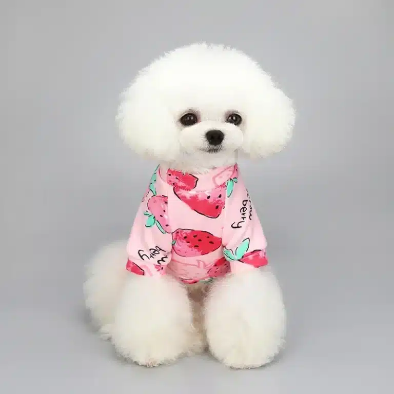 Pull spitz fraise rose 3