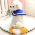 Déguisement canard petit chien 1