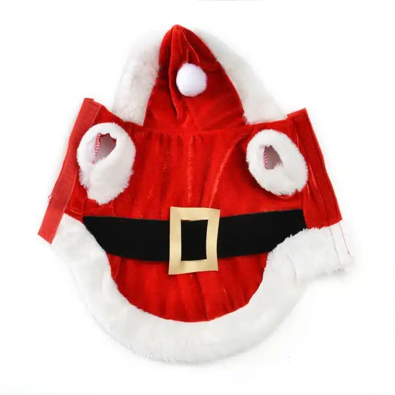 Déguisement noel chien 3