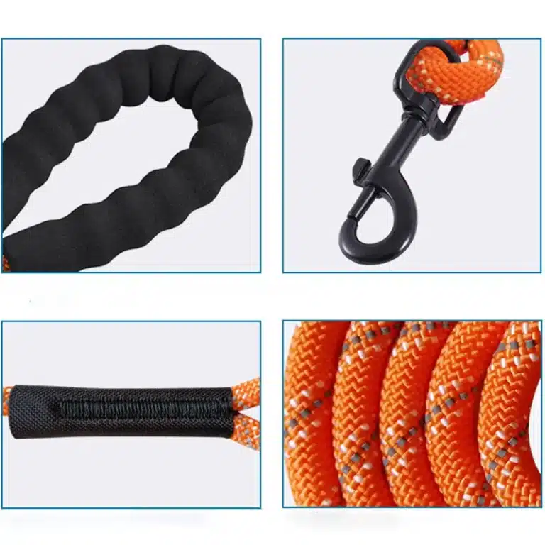 Longue longe en corde pour chien 4