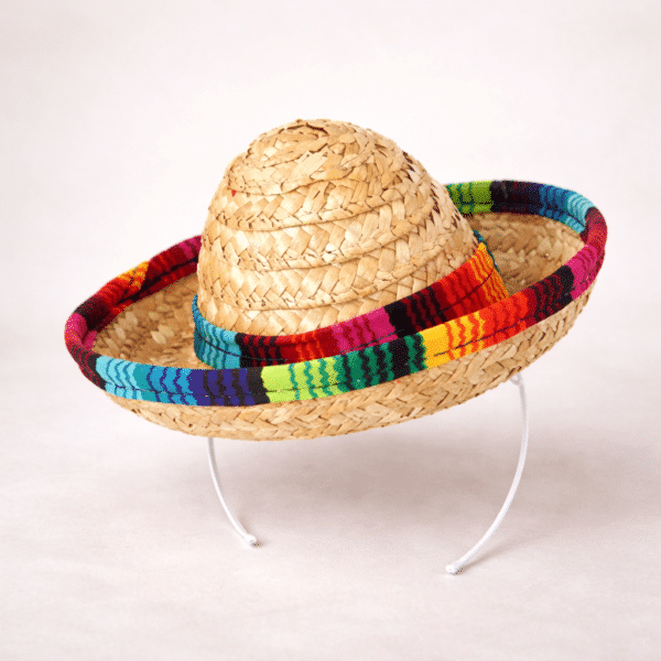 Chapeau de paille pour chien