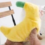 2e0be9e0-b49c-4eb2-ba40-bde4b65a4648