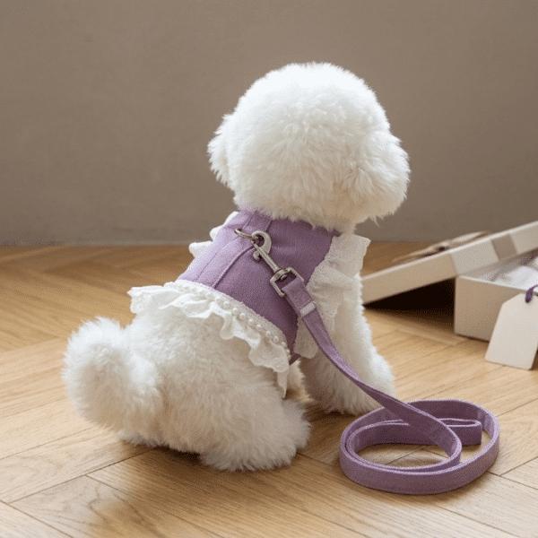 Harnais chien perle dentelle violet et blanc + laisse