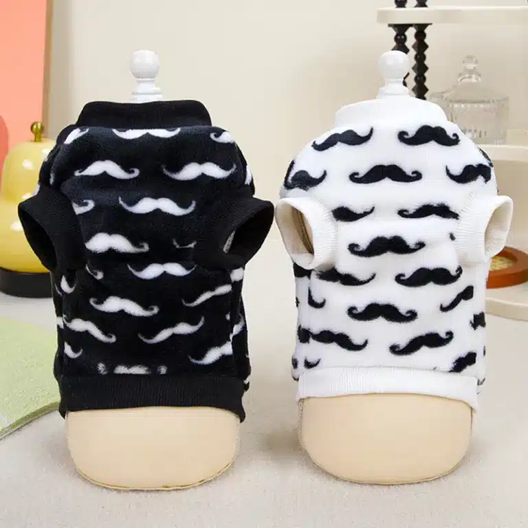 Pull chihuahua moustache 3