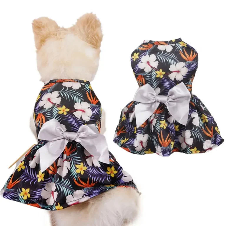 Robe chihuahua motif fleurs noeud blanc 3
