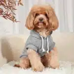 Pull i love my daddy chien 4