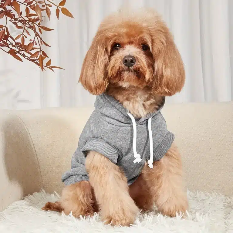 Pull i love my daddy chien 4