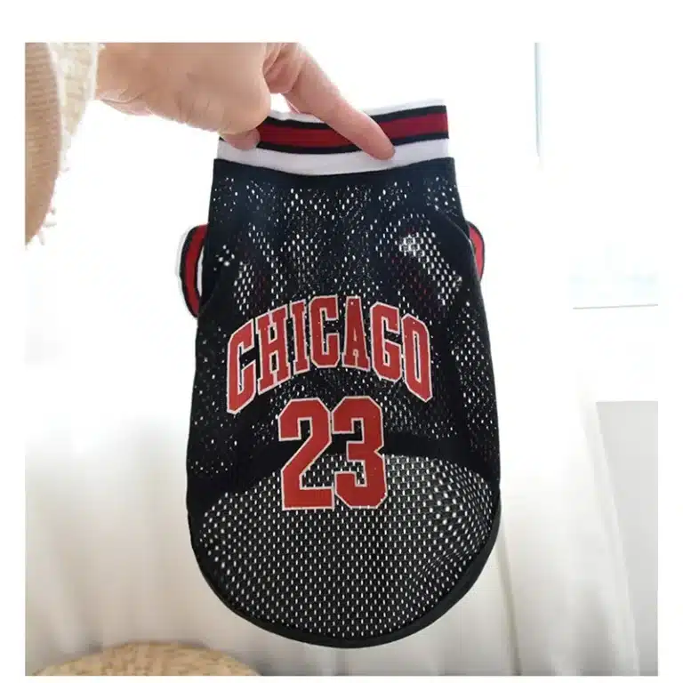 Maillot NBA chicago chihuahua 6