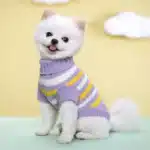 Pull rayure jaune et violet petit chien 5