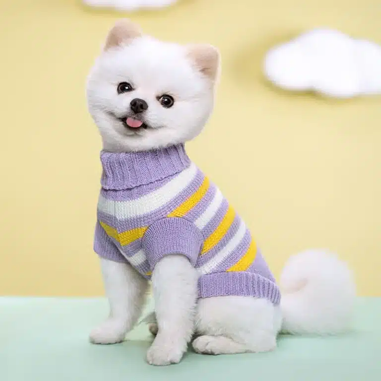 Pull rayure jaune et violet petit chien 5
