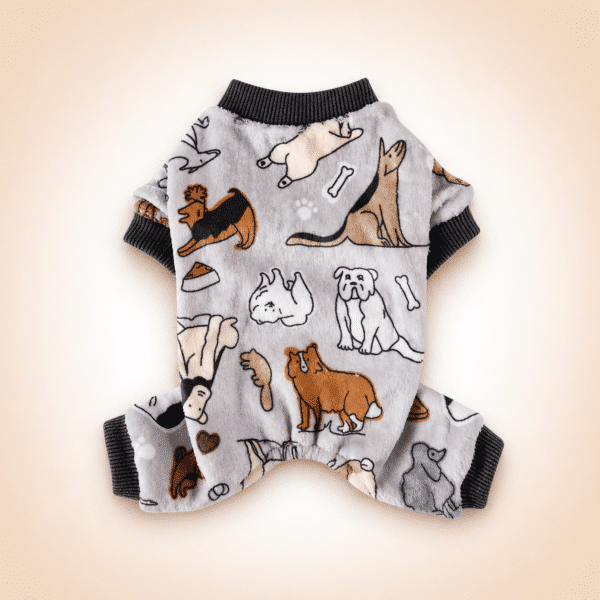 Pull pilou chihuahua motif chien gris