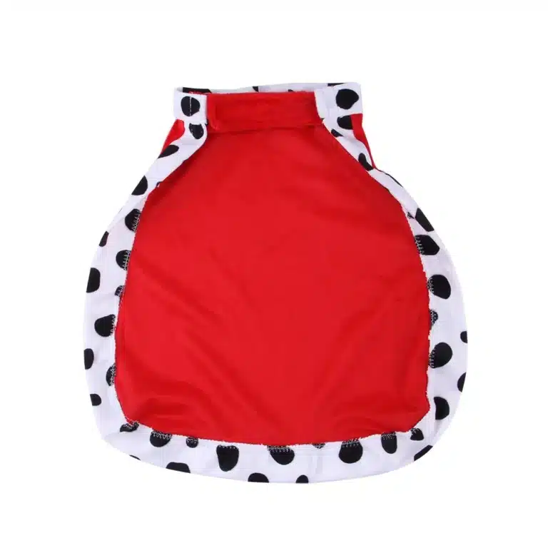 Déguisement roi chien 3