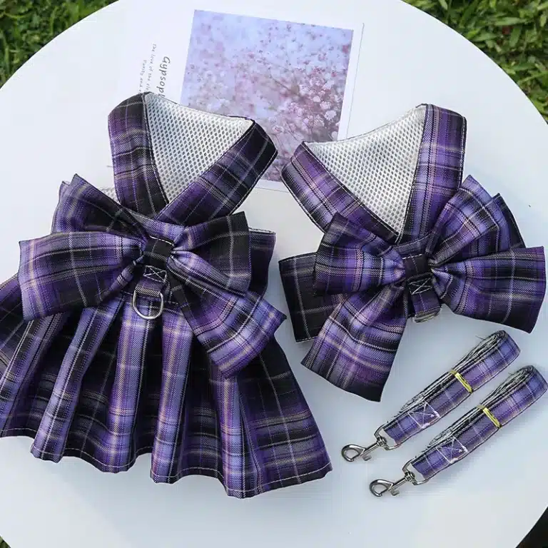 Harnais robe chihuahua carreaux violet + laisse 5