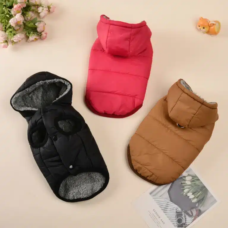 Manteau à capuche polaire chaud pour chien 2