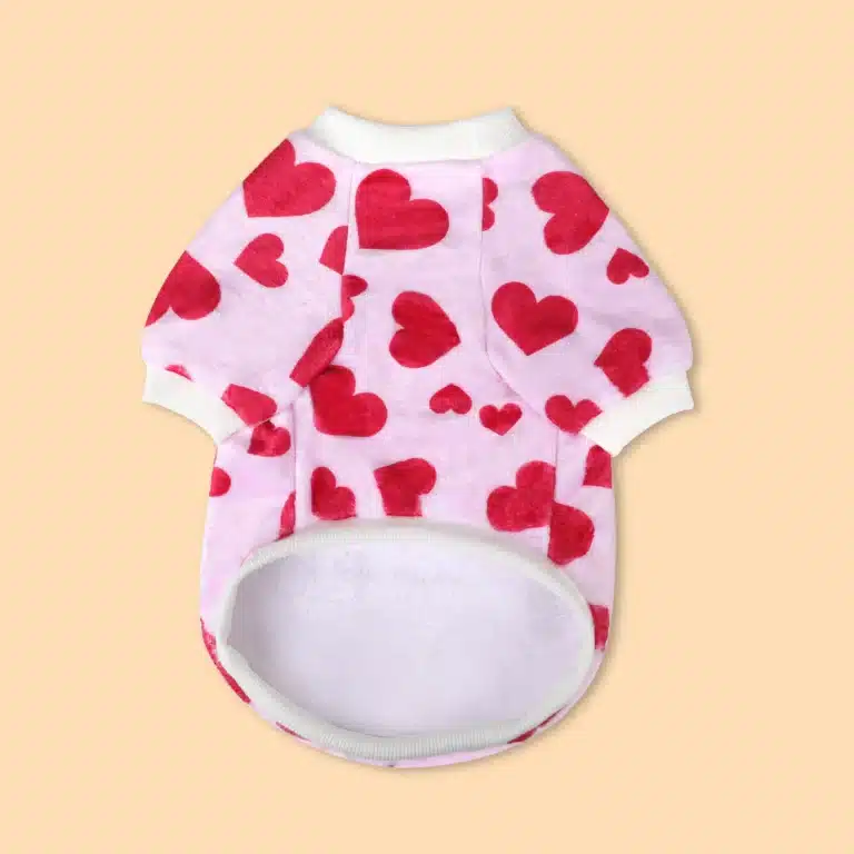 Pull saint valentin petit chien 2