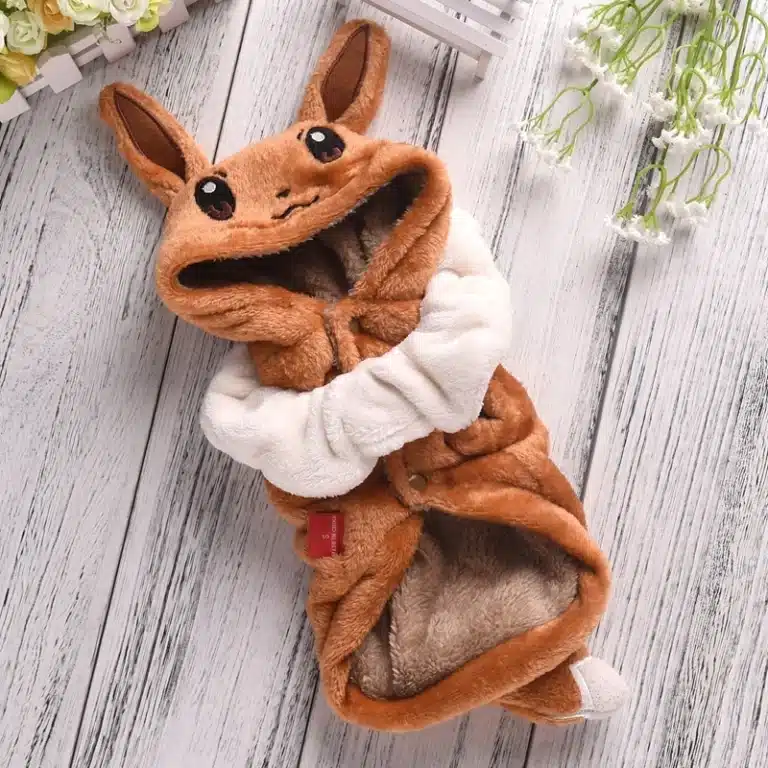 Déguisement pokemon evoli chien 4