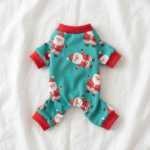 3681e279-857a-4f3d-af4e-a21496e741c1_cleanup