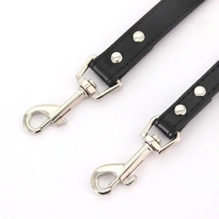 Laisse pour chien en cuir noir 5