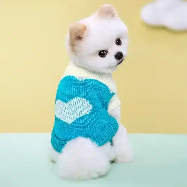 Pull coeur bleu spitz 5